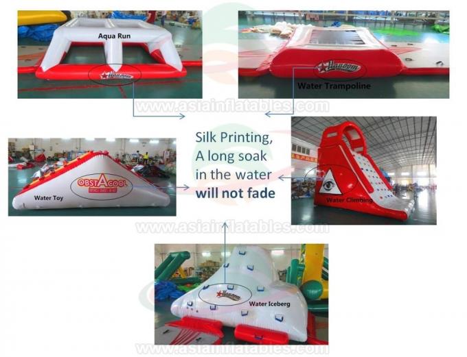 Équipement de sport gonflable de CablePark de parc aquatique de qualité marchande avec le jeu de glissière